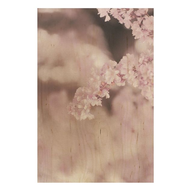 Monika Strigel Kirschblüte im Violetten Licht