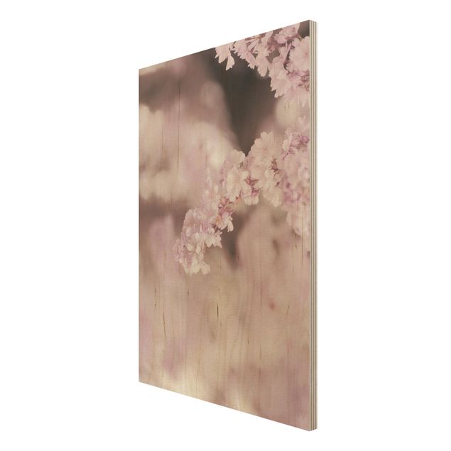 Bilder auf Holz Kirschblüte im Violetten Licht