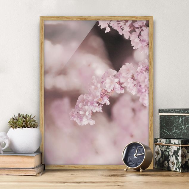 Moderne Bilder mit Rahmen Kirschblüte im Violetten Licht