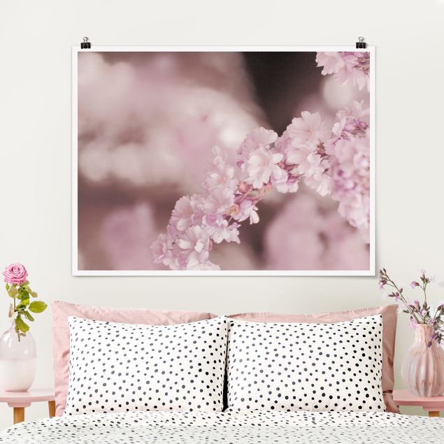 XXL Poster Kirschblüte im Violetten Licht
