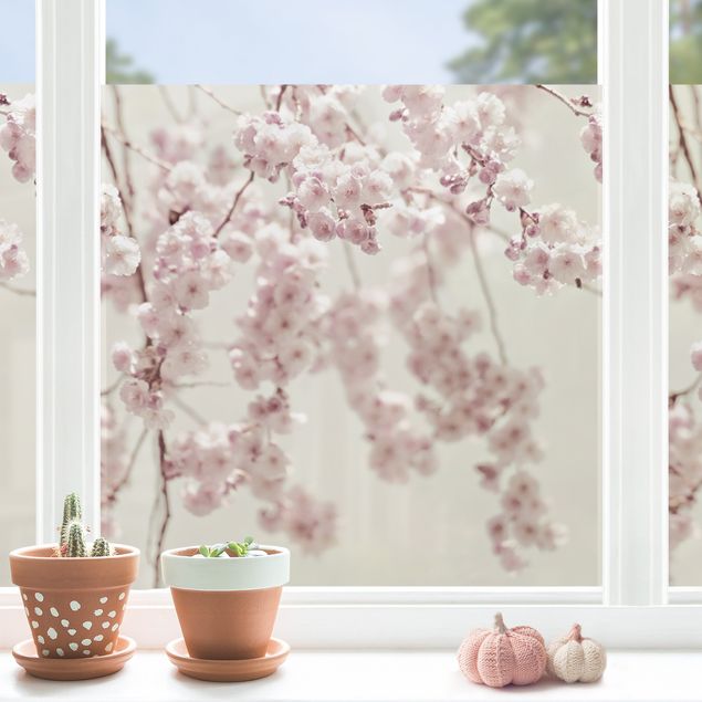 Fensterfolie Blumen Kirschblütentanz
