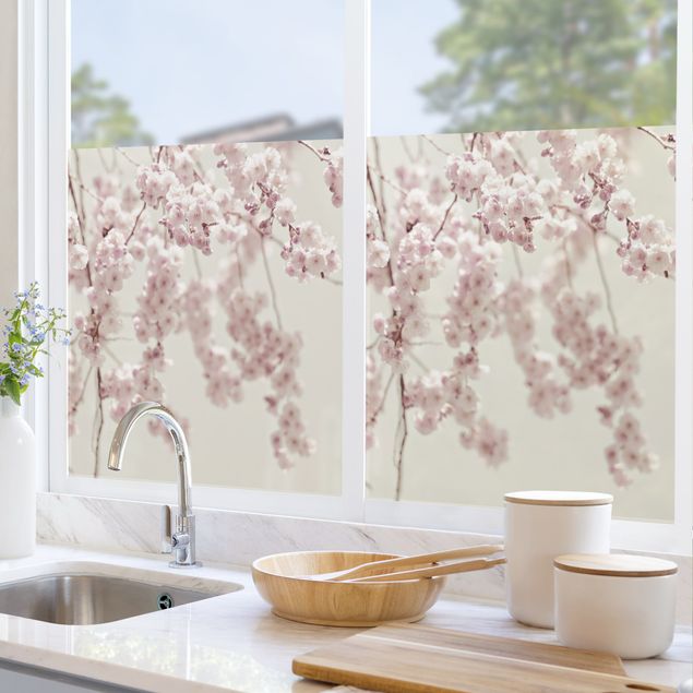 Fensterfolie farbig Kirschblütentanz