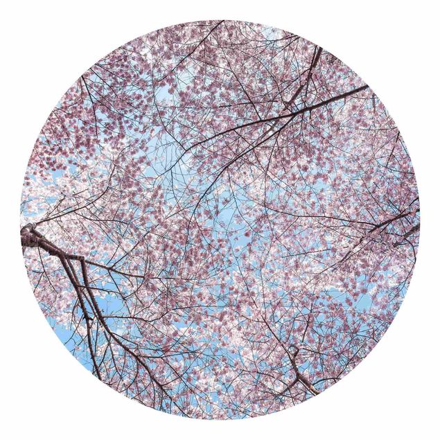 Runde Tapete selbstklebend - Kirschblütenzweige vor blauem Himmel