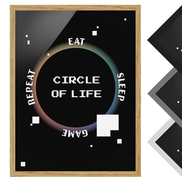 Bild mit Rahmen - Klassik Videospiel Circle of Life - Hochformat - 1:3