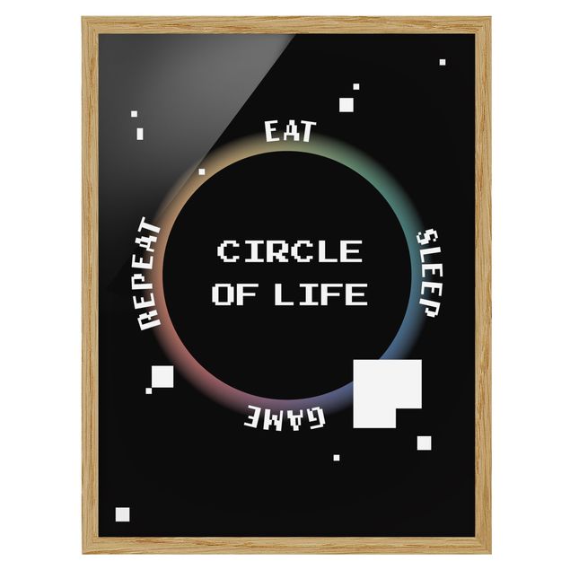 gerahmte Bilder Klassik Videospiel Circle of Life