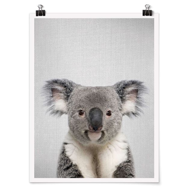 schöne Bilder Koala Klaus
