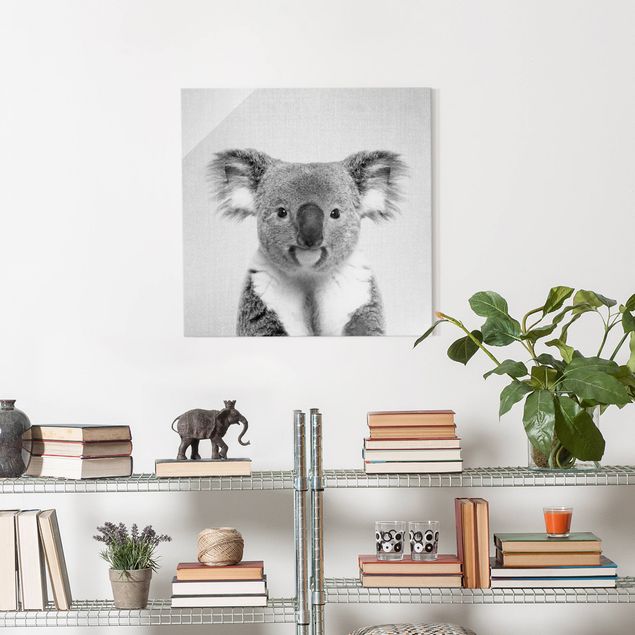 Glasbild schwarz-weiß Koala Klaus Schwarz Weiß
