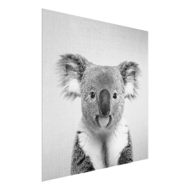Bilder Koala Klaus Schwarz Weiß