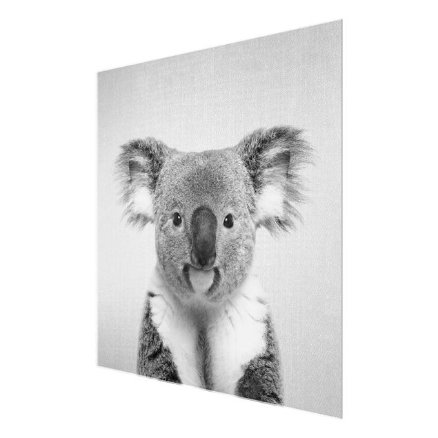 Glasbild - Koala Klaus Schwarz Weiß - Quadrat