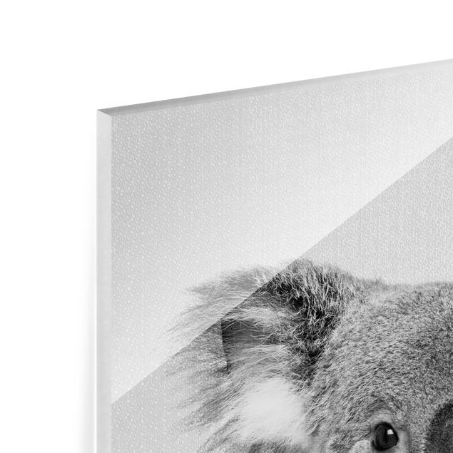 Glasbild - Koala Klaus Schwarz Weiß - Quadrat