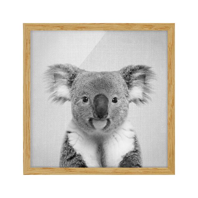 schöne Bilder Koala Klaus Schwarz Weiß