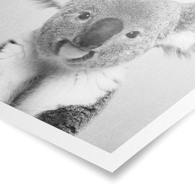 Poster Koala Klaus Schwarz Weiß