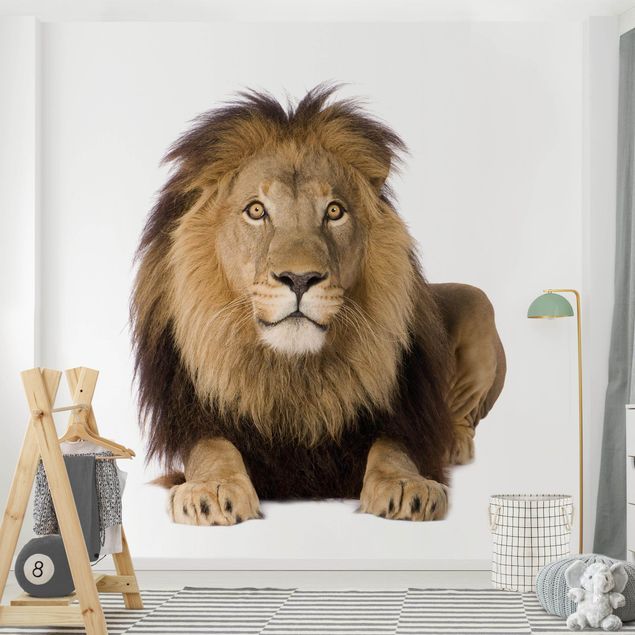Tier Tapeten König Löwe II