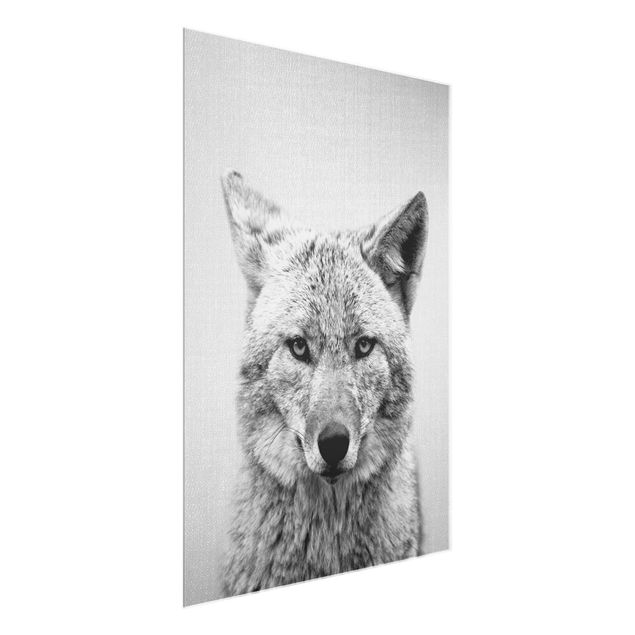 Wandbilder Kojote Kalle Schwarz Weiß