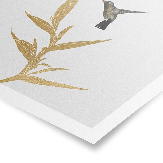 Poster bestellen Kolibri und tropische goldene Blüte II