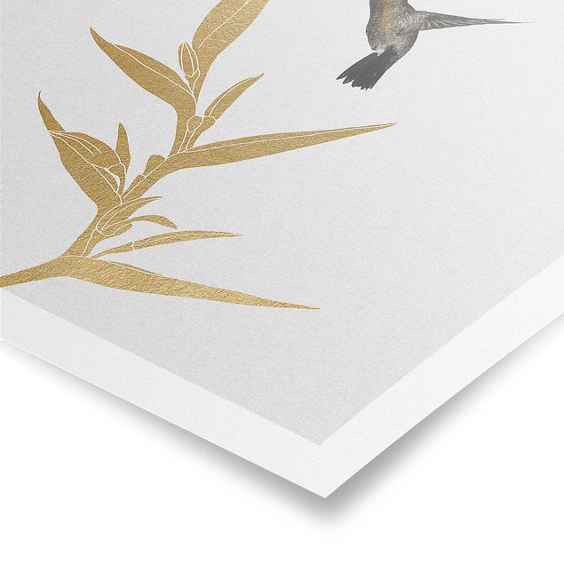 Poster kaufen Kolibri und tropische goldene Blüte II