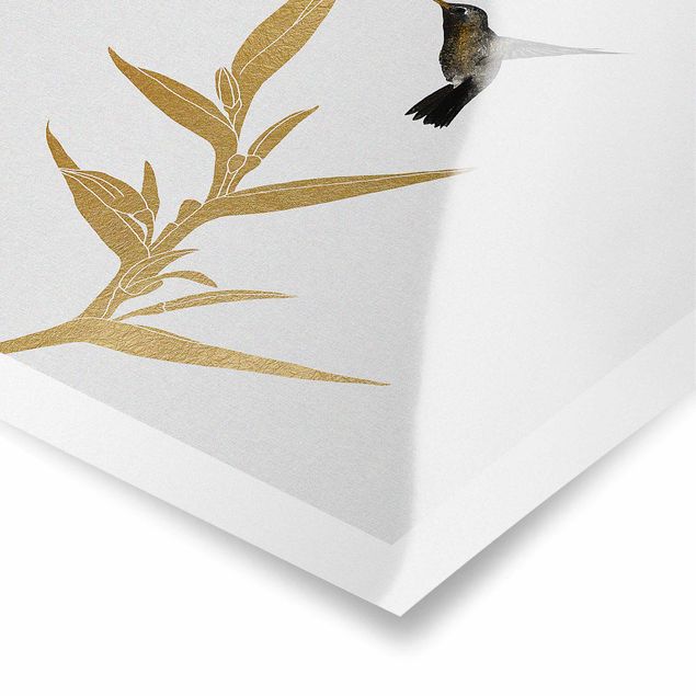 Poster - Kolibri und tropische goldene Blüte II - Quadrat 1:1