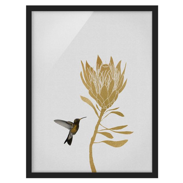 Bild mit Rahmen - Kolibri und tropische goldene Blüte - Hochformat