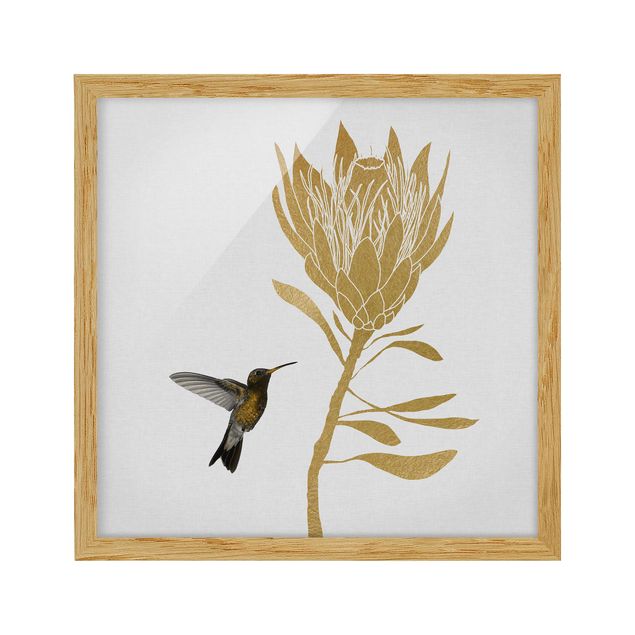 Wandbilder mit Rahmen Kolibri und tropische goldene Blüte