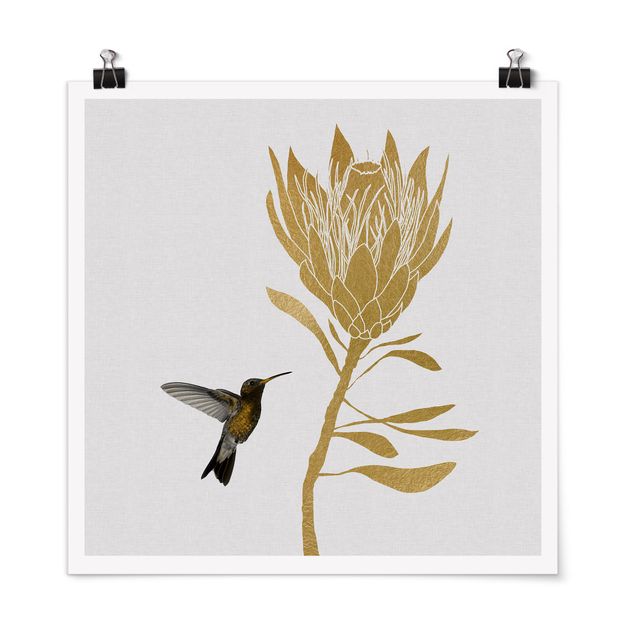 Poster - Kolibri und tropische goldene Blüte - Quadrat 1:1