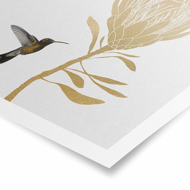 Poster - Kolibri und tropische goldene Blüte - Quadrat 1:1
