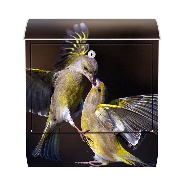 Design Briefkasten Küssende Kolibris