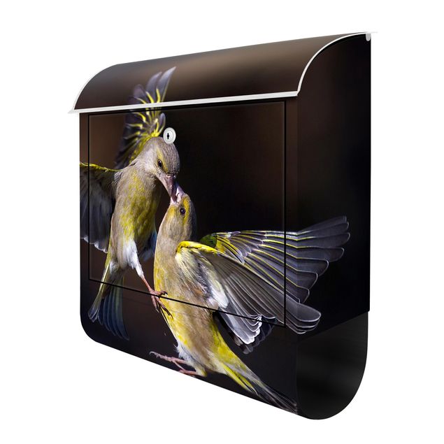 Briefkasten - Küssende Kolibris
