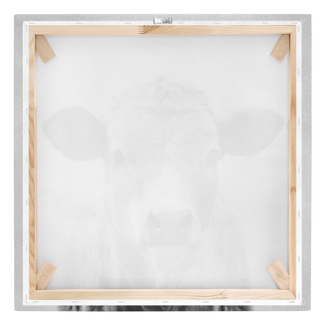 Leinwandbild - Kuh Kathrin Schwarz Weiß - Quadrat 1:1