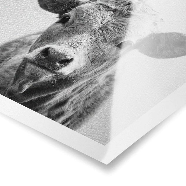 Poster Kuh Kathrin Schwarz Weiß