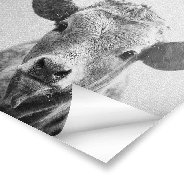 Poster - Kuh Kathrin Schwarz Weiß - Quadrat 1:1