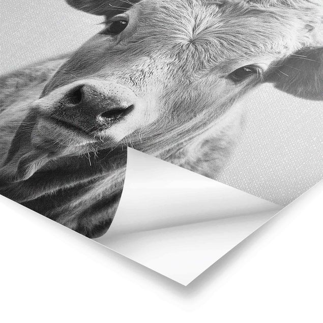 Poster - Kuh Kathrin Schwarz Weiß - Hochformat 3:4