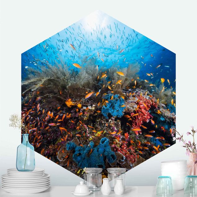 Hexagon Mustertapete selbstklebend - Lagune Unterwasser