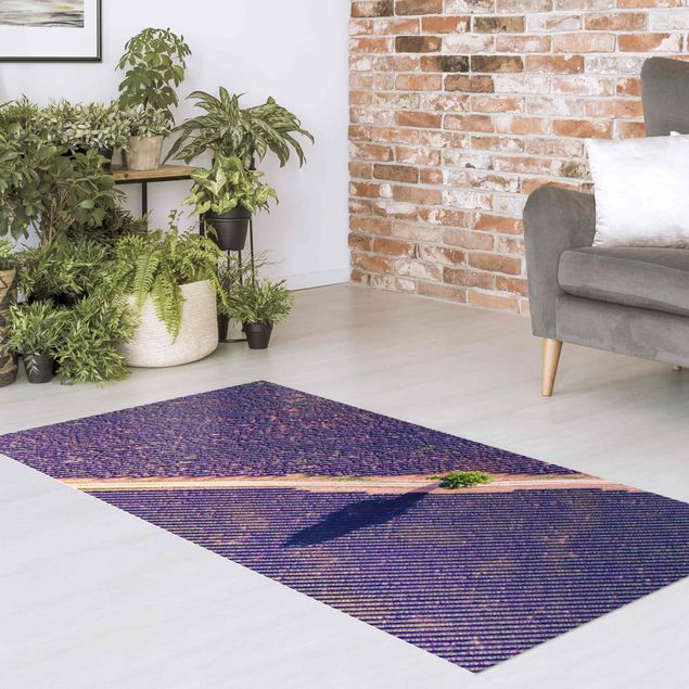 Teppich modern Lavendelfeld Draufsicht