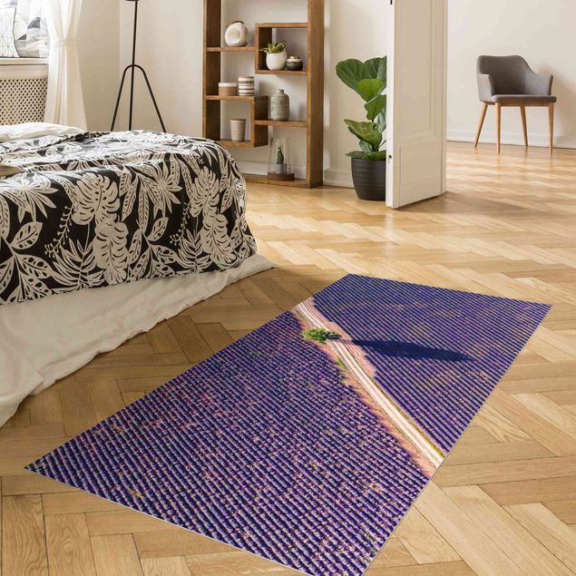 Teppich für Balkon Lavendelfeld Draufsicht