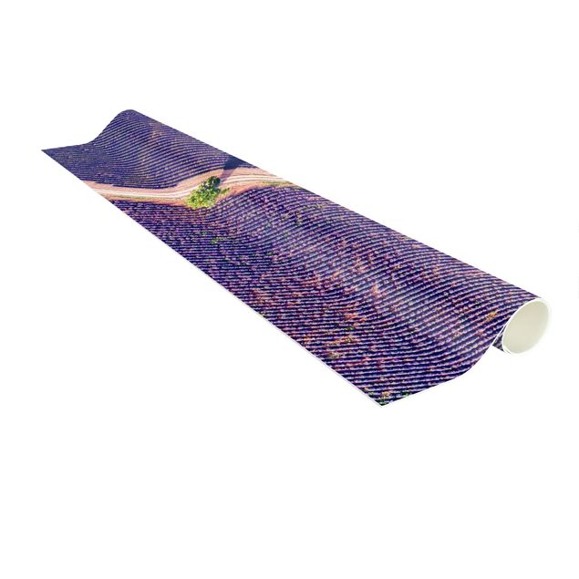 Teppiche groß Lavendelfeld Draufsicht