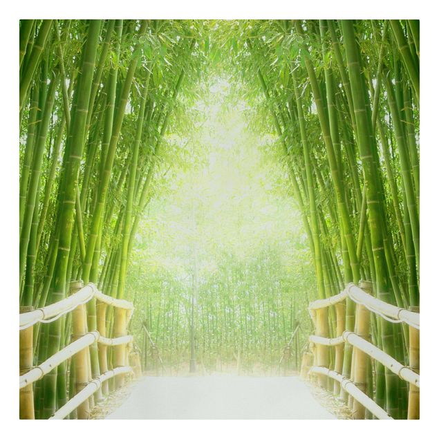 Leinwandbild - Bamboo Way - Quadrat 1:1