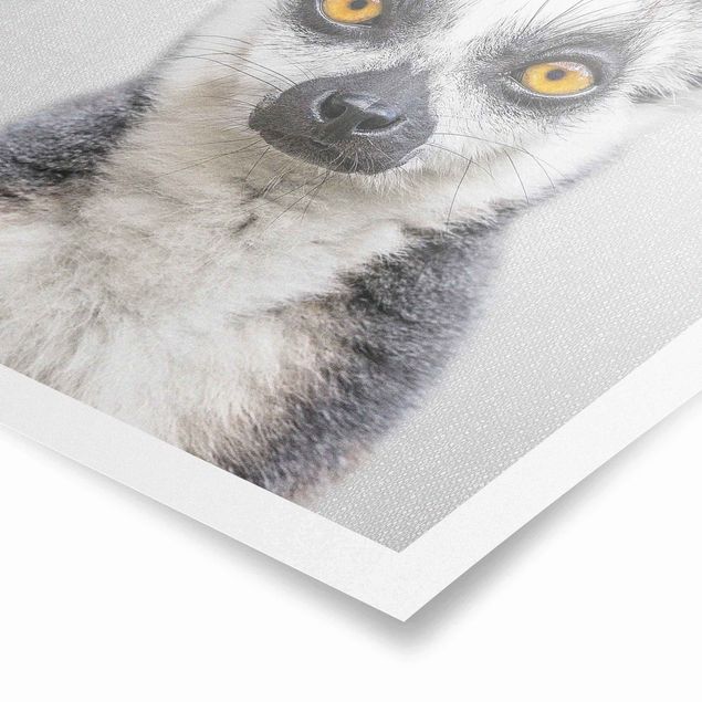 Bilder Lemur Ludwig