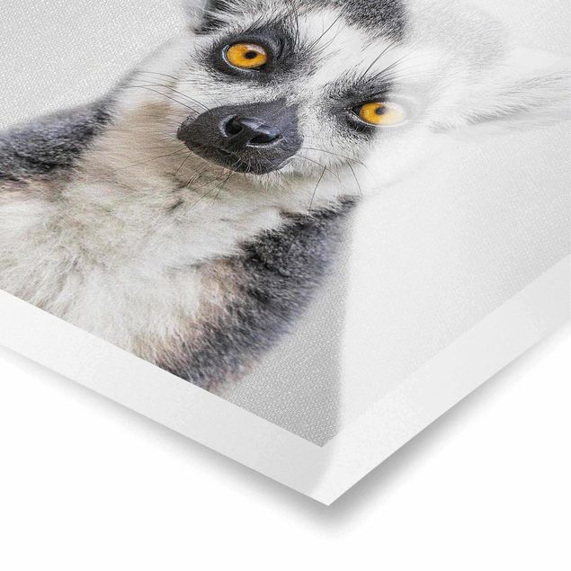 Poster kaufen Lemur Ludwig