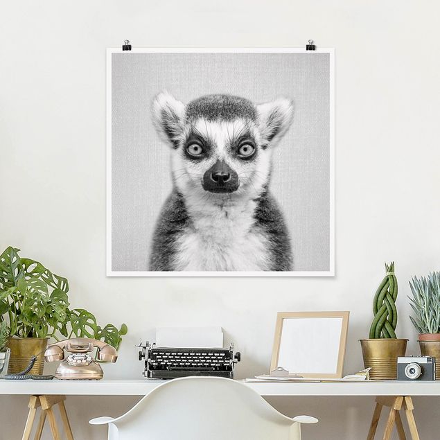 Poster Affen Lemur Ludwig Schwarz Weiß