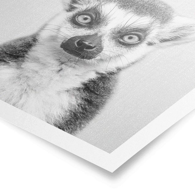 Wandbilder Lemur Ludwig Schwarz Weiß