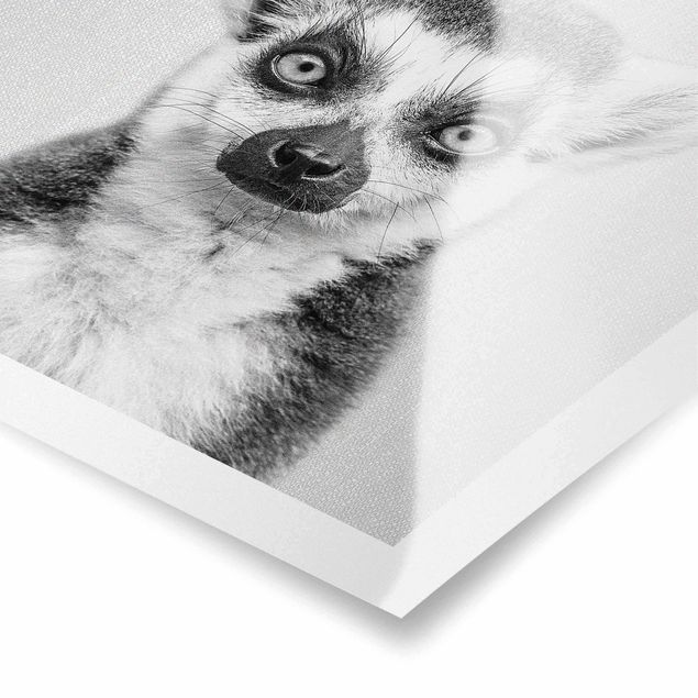 Poster bestellen Lemur Ludwig Schwarz Weiß