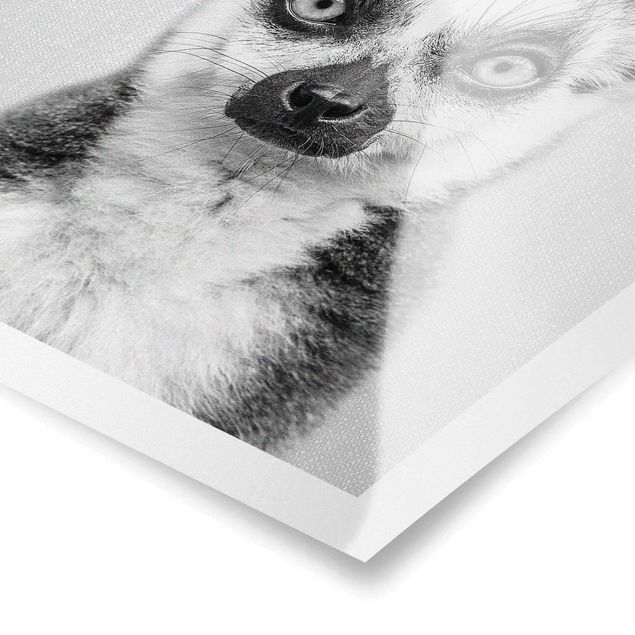Poster Lemur Ludwig Schwarz Weiß