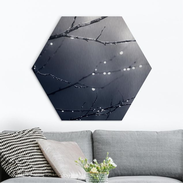 Hexagon Bild Alu-Dibond - Lichttropfen am Birkenzweig