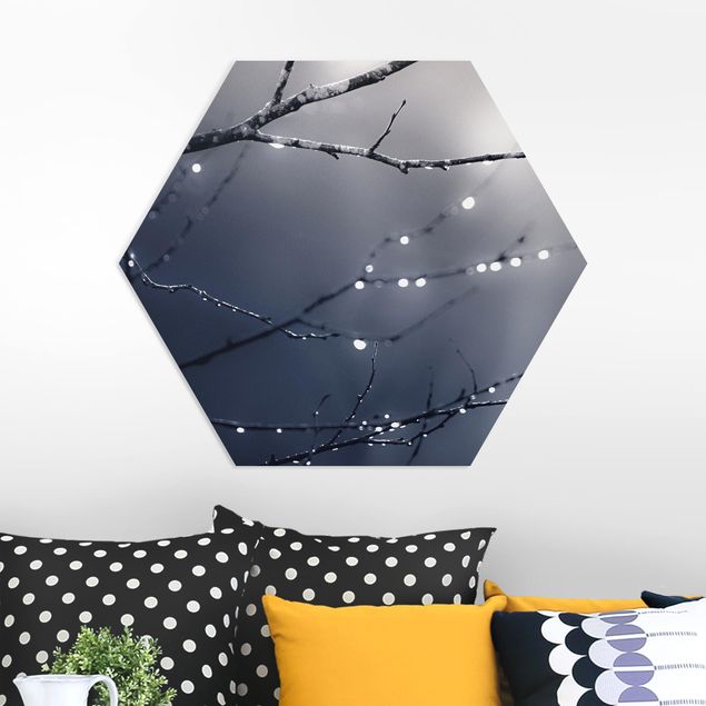 Hexagon Bild Forex - Lichttropfen am Birkenzweig