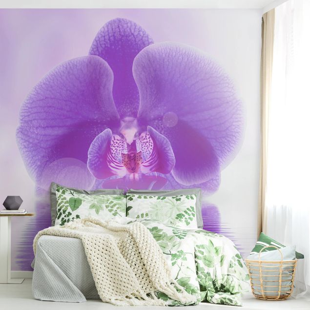 Orchidee Lila kaufen auf Wasser Fototapete