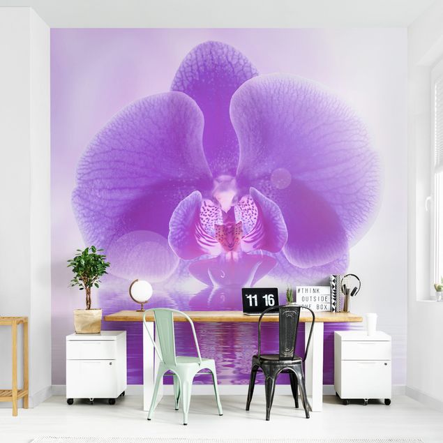 Lila Orchidee Fototapete kaufen auf Wasser