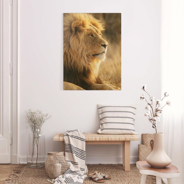 Leinwandbilder Naturmotive Löwenkönig
