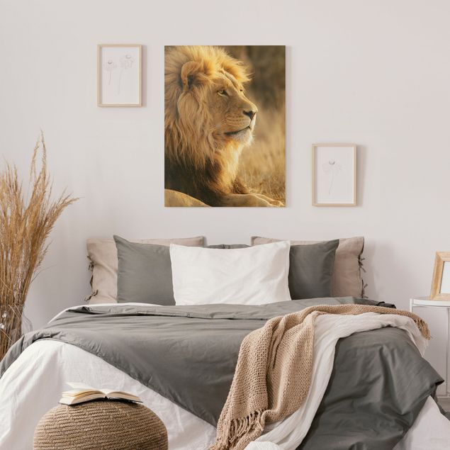 Afrika Leinwand Löwenkönig
