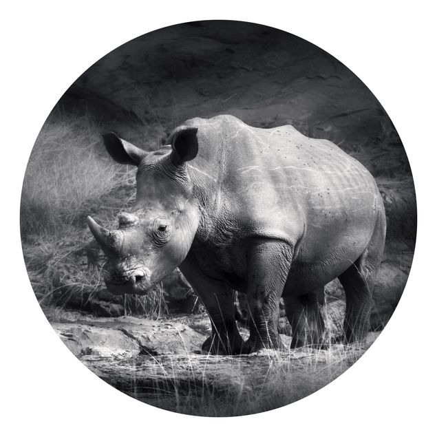 Tapete selbstklebend Lonesome Rhinoceros