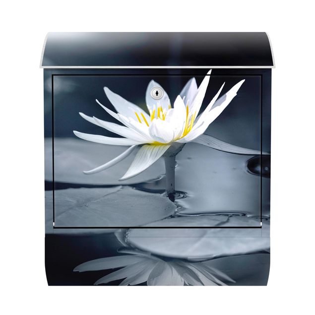 Briefkasten Design Lotus Spiegelung im Wasser